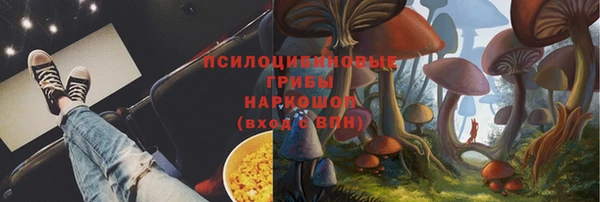 молекула духа Алексеевка