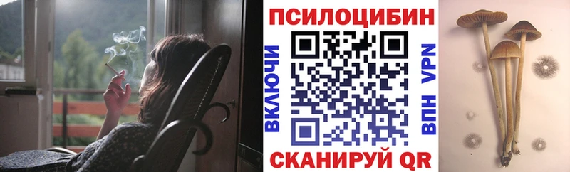 купить  сайты  Комсомольск  blacksprut зеркало  Псилоцибиновые грибы Psilocybine cubensis 